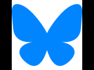 https://www.noelshack.com/2024-48-1-1732564100-bluesky-icon.png