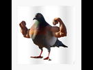 https://image.noelshack.com/fichiers/2024/48/2/1732649959-poster-504x498-f8f8f8-pad-600x600-f8f8f8-u4.jpg