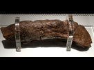 https://www.noelshack.com/2024-48-3-1732695661-1280px-lloydsbankcoprolite-001.jpg