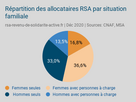 https://www.noelshack.com/2024-48-3-1732703210-2020-allocataires-rsa-situation-familiale.png