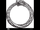 https://www.noelshack.com/2024-48-5-1732864279-ouroboros-serpent-de-manger-sa-propre-queue-symbole-de-l-infini-ou-l-eternite-hbtjpm.jpg