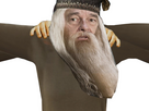 https://image.noelshack.com/fichiers/2024/48/5/1732916647-mage.jpg