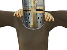 https://image.noelshack.com/fichiers/2024/48/5/1732916647-paladin.jpg