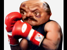 https://image.noelshack.com/fichiers/2024/48/6/1732928294-risita-boxe.png