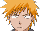 https://www.noelshack.com/2024-48-7-1733084103-1604872279-kurosaki-0.png