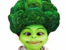 https://image.noelshack.com/fichiers/2024/49/2/1733257223-05671893-9390-4a62-8994-3a78db27d50e.png
