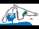 https://image.noelshack.com/fichiers/2024/49/3/1733323262-1920px-yas-marina-circuit.png