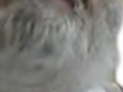 https://image.noelshack.com/fichiers/2024/49/3/1733341271-11-5zzo4izx.png