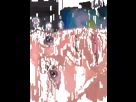 https://image.noelshack.com/minis/2024/49/3/1733348183-ezgif-7-dc67703e14.png