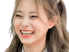 https://image.noelshack.com/fichiers/2024/49/4/1733414102-tzuyu.png