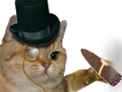 https://www.noelshack.com/2024-49-5-1733516841-1516041268-chat-riche-cigare-oeil.png