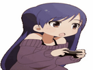 https://www.noelshack.com/2024-49-5-1733520481-loli-game-game.gif