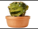 https://image.noelshack.com/fichiers/2024/49/6/1733537415-img-7256.png