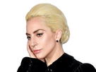 https://image.noelshack.com/fichiers/2024/49/6/1733590593-gaga-20241207175127.png