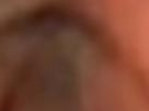 https://image.noelshack.com/fichiers/2024/50/1/1733703000-2-9o7y7de3.png