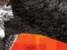 https://image.noelshack.com/fichiers/2024/50/3/1733937565-57-3msre0tr.png