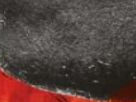 https://image.noelshack.com/fichiers/2024/50/3/1733937565-62-3msre0tr.png