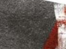 https://image.noelshack.com/fichiers/2024/50/3/1733937611-56-3msre0tr.png
