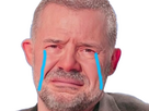 https://image.noelshack.com/fichiers/2024/50/4/1734001438-naulleau.png