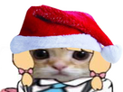 https://image.noelshack.com/fichiers/2024/50/5/1734086295-momoicatnoel.png