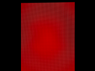 https://image.noelshack.com/fichiers/2024/50/5/1734127905-img-7658-grande.jpeg
