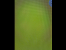 https://image.noelshack.com/fichiers/2024/50/5/1734127958-img-7660-grande.jpeg