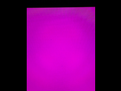https://image.noelshack.com/fichiers/2024/50/5/1734127977-img-7663-grande.jpeg