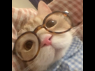 https://image.noelshack.com/minis/2024/50/6/1734142273-014f5c7e1217f79b8beeaef7c6b07cff.png
