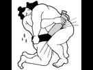 https://image.noelshack.com/fichiers/2024/50/7/1734285042-1790839.png