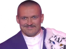 https://image.noelshack.com/fichiers/2024/51/2/1734466851-usyk1.png