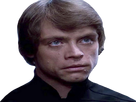 https://image.noelshack.com/fichiers/2024/51/3/1734553377-img-3873.png