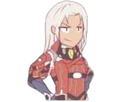 https://image.noelshack.com/fichiers/2024/51/6/1734787667-elma.png