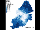 https://image.noelshack.com/fichiers/2024/51/6/1734805632-800px-white-birmingham-2021-distribution.png