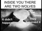 https://image.noelshack.com/minis/2024/51/7/1734896046-2wolfs.png