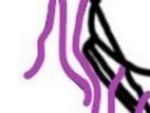 https://image.noelshack.com/fichiers/2024/52/2/1735072588-19-d0n1d9vl.png