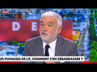 https://image.noelshack.com/fichiers/2024/52/3/1735164045-praud.jpg