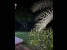 https://image.noelshack.com/fichiers/2024/52/4/1735169627-foto-no-exif-2.jpg