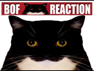 https://image.noelshack.com/fichiers/2024/52/4/1735230866-bofunireaction.png
