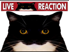 https://image.noelshack.com/fichiers/2024/52/4/1735230866-livereactionuni.png