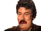 https://image.noelshack.com/fichiers/2024/52/4/1735247644-zozi.png