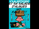 https://image.noelshack.com/fichiers/2024/52/4/1735249224-cwiqfmjk7.png