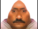 https://image.noelshack.com/fichiers/2024/52/5/1735260865-img-8524.png