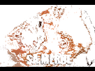 https://image.noelshack.com/fichiers/2024/52/5/1735307697-1697771295-je-mange-sa-merde.gif