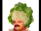 https://image.noelshack.com/minis/2024/52/5/1735308864-risifleur.png