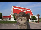 https://image.noelshack.com/fichiers/2024/52/5/1735315770-buffalo-grill-cat.jpg