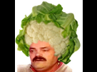 https://image.noelshack.com/minis/2024/52/7/1735457153-chou.png