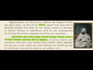 https://image.noelshack.com/fichiers/2025/01/3/1735772316-821.png