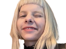 https://image.noelshack.com/fichiers/2025/01/4/1735830250-aurora.png