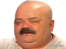 https://image.noelshack.com/fichiers/2025/01/6/1735990656-oiesf.png