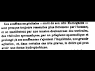 https://image.noelshack.com/fichiers/2025/01/6/1736020320-454787845.png